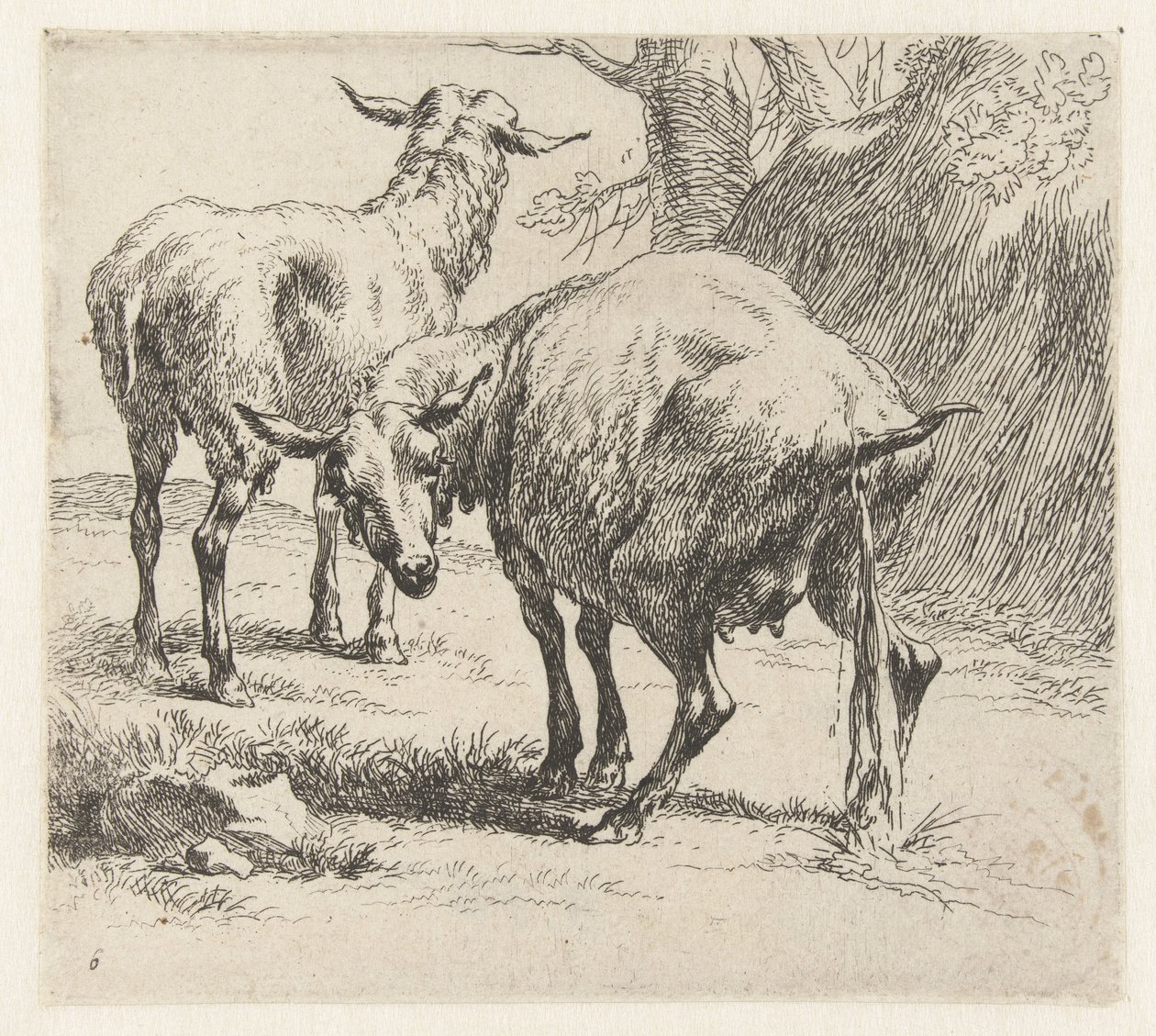 Pissende ooi en een schaap Schapen (sarjan nimi) Studio and Art of Nicolai Berchemin eläimet, jotka on painettu vedellä vahvistamaan ilmaa (sarjan nimi) tekijältä Nicolaes Pietersz Berchem