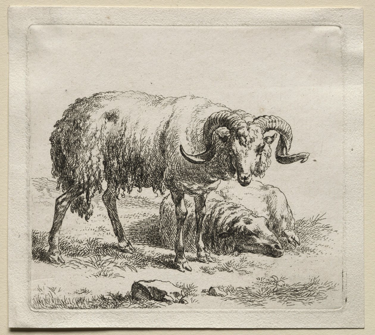 Oinas ja lampaat. tekijältä Nicolaes Pietersz. Berchem