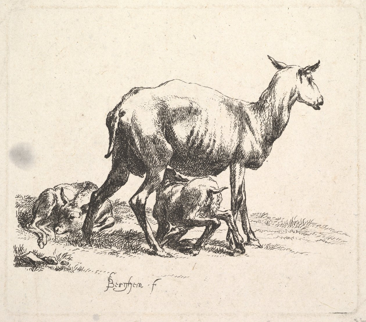 Lampaat karitsanhoitoon. tekijältä Nicolaes Pietersz. Berchem