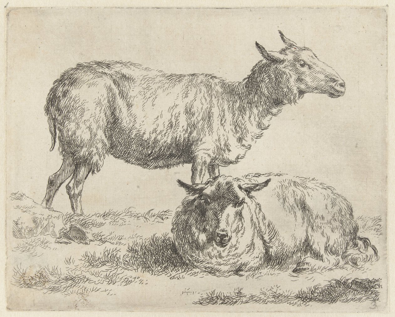 Staand en liggend schaap Schapen (sarjan nimi) Studio and Art of Nicolai Berchem (sarjan nimi) herättää elämään ja painaa veteen voimakkaalla ilmalla eläimet tekijältä Nicolaes Pietersz Berchem