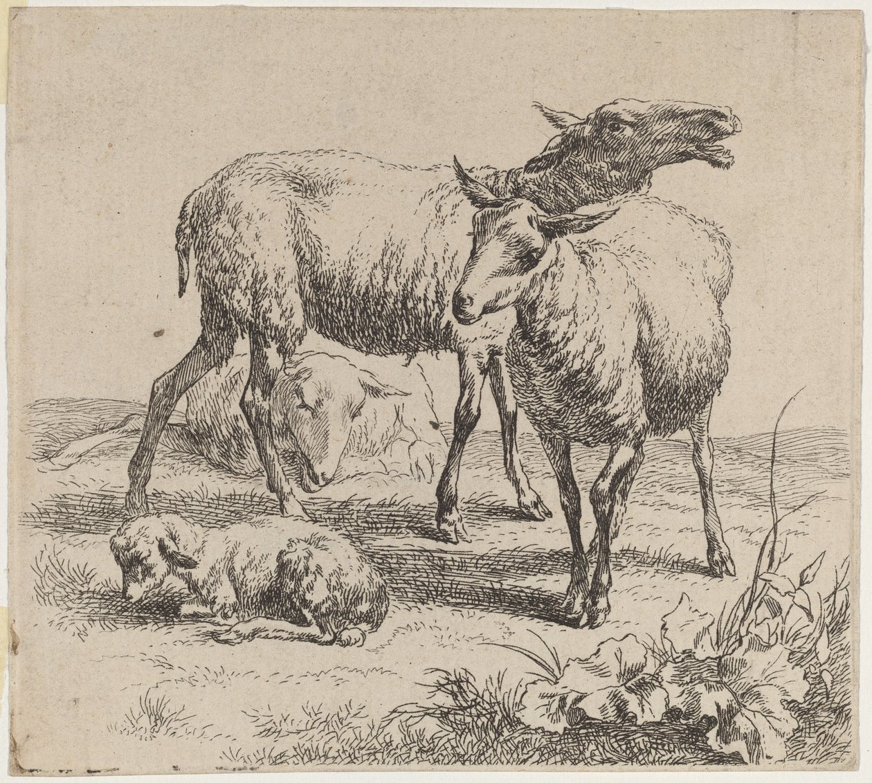 Kolme lammasta ja lammas tekijältä Nicolaes Pietersz Berchem