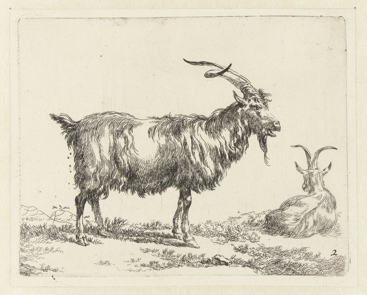 Kaksi vuohta Geiten (sarjan nimi) Studio and Art of Nicolai Berchem (sarjan nimi) herättää elämään ja painaa veteen voimakkaalla ilmalla eläimet tekijältä Nicolaes Pietersz Berchem