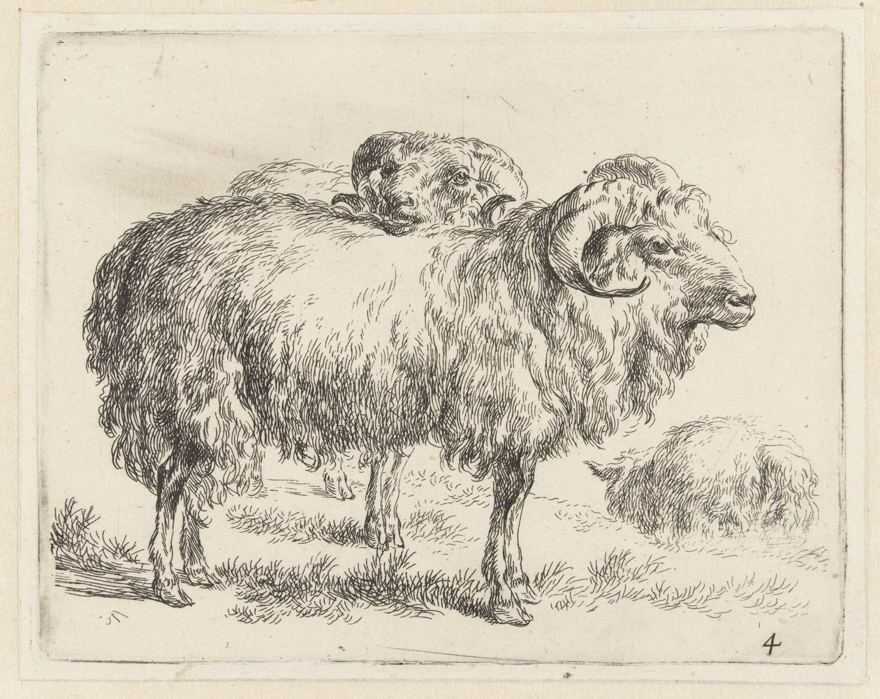 Twee rammen en een schaap Schapen (sarjan nimi) Studio and Art of Nicolai Berchem (sarjan nimi) herättää elämään ja painaa veteen voimakkaalla ilmalla eläimet tekijältä Nicolaes Pietersz Berchem