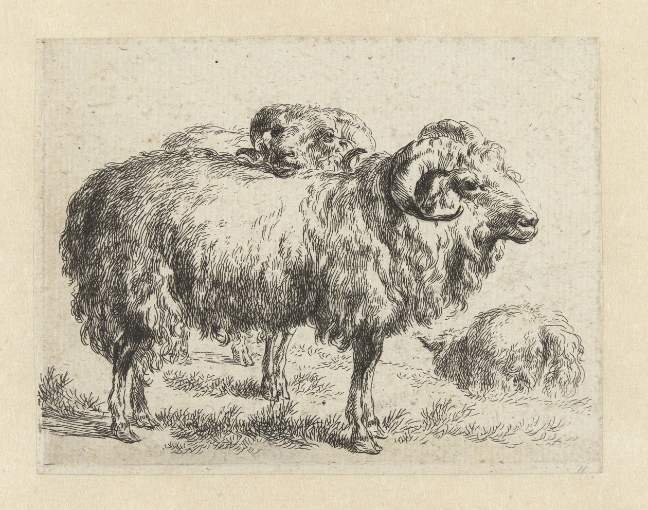 Twee rammen en een schaap Schapen (sarjan nimi) Studio and Art of Nicolai Berchem (sarjan nimi) herättää elämään ja painaa veteen voimakkaalla ilmalla eläimet tekijältä Nicolaes Pietersz Berchem
