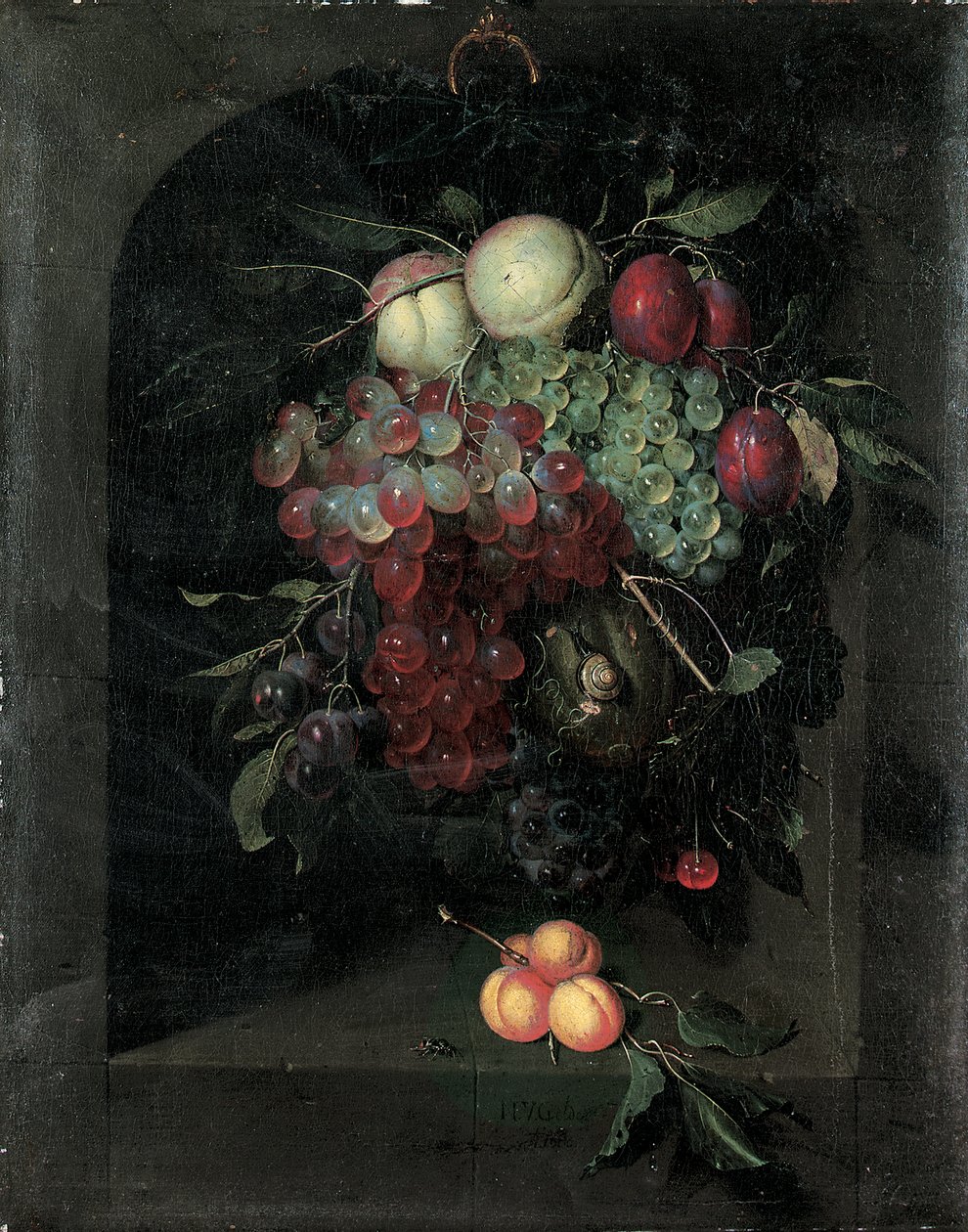 Viini rypäleitä, persikoita, luumuja ja kirsikoita etanalla kivirakossa, nippu aprikooseja ja mehiläinen kielekkeellä, 1666 tekijältä Nicolaes Van Gelder