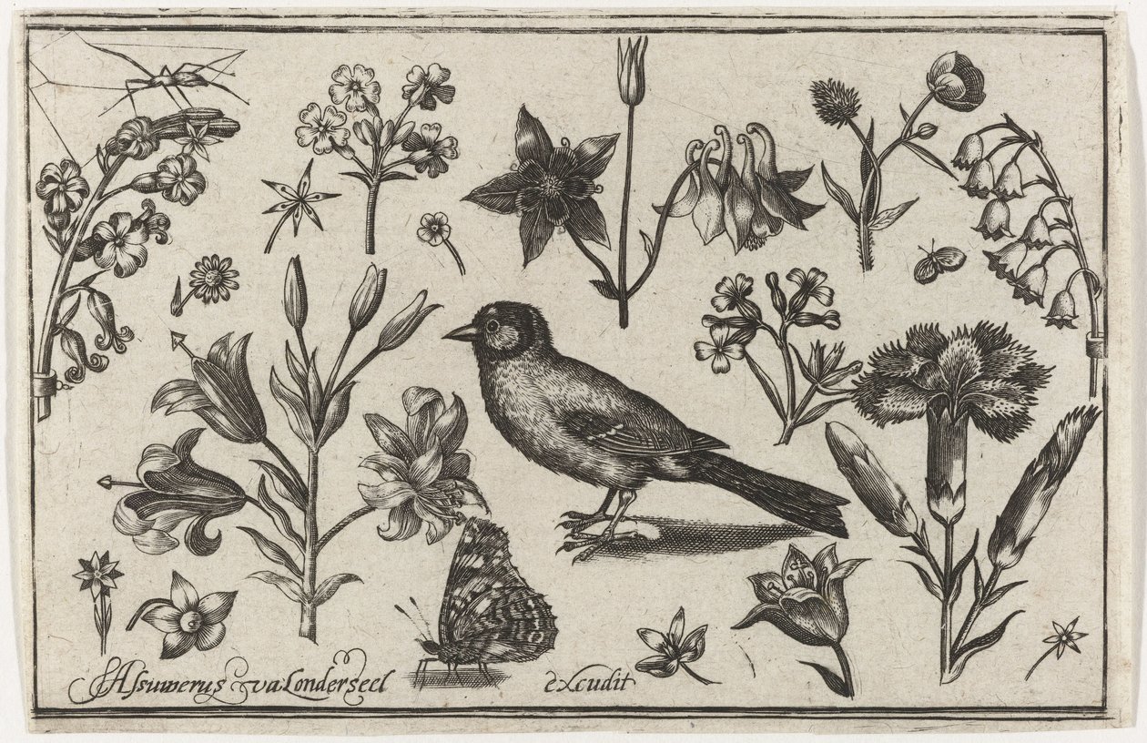 Kukat, perhonen ja lintu Linnut, kukat, hyönteiset jne. (sarjan nimi) tekijältä Nicolaes de Bruyn (possibly)