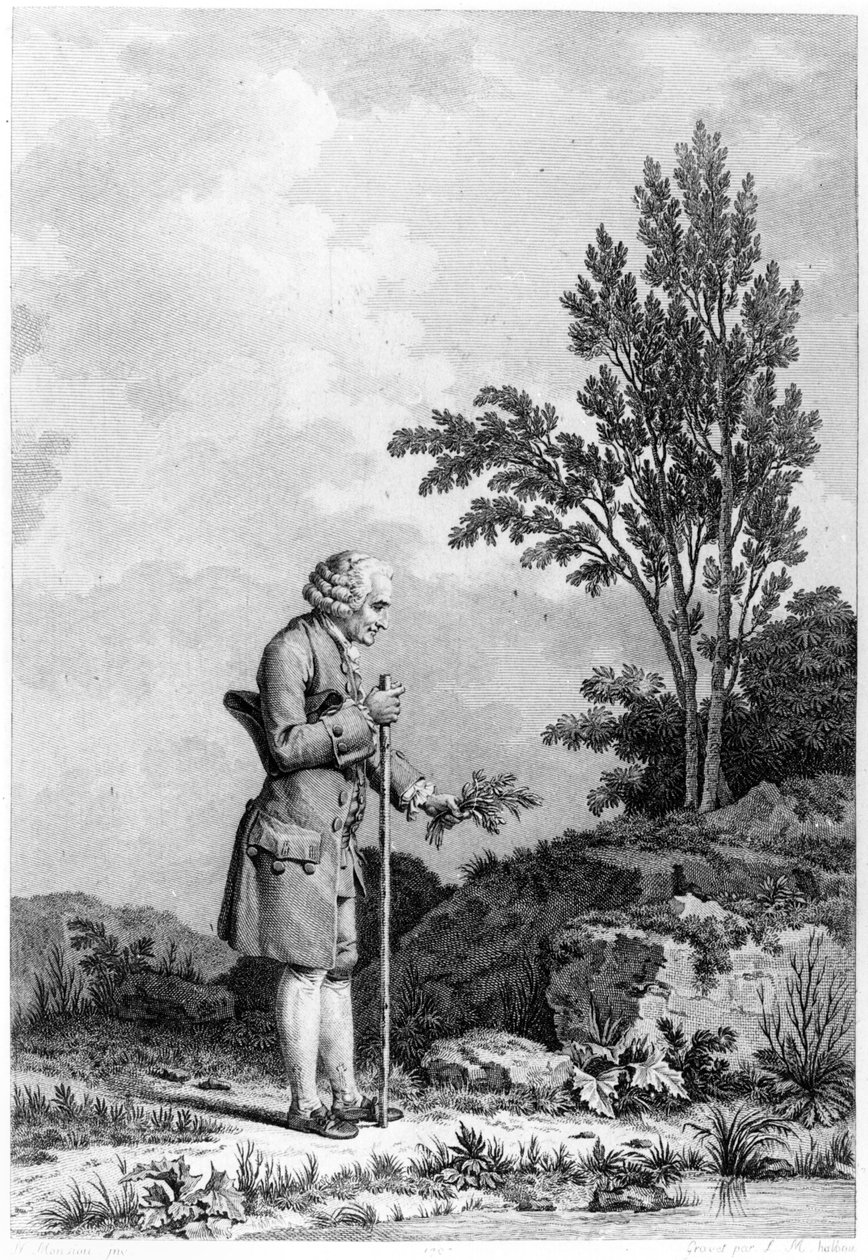 Jean-Jacques Rousseau (1712-78) Kerää yrttejä Ermenonvillessä, kesäkuu 1778, kaiverrus Louis Michel Halbou (s.1730) tekijältä Nicolas Andre Monsiau