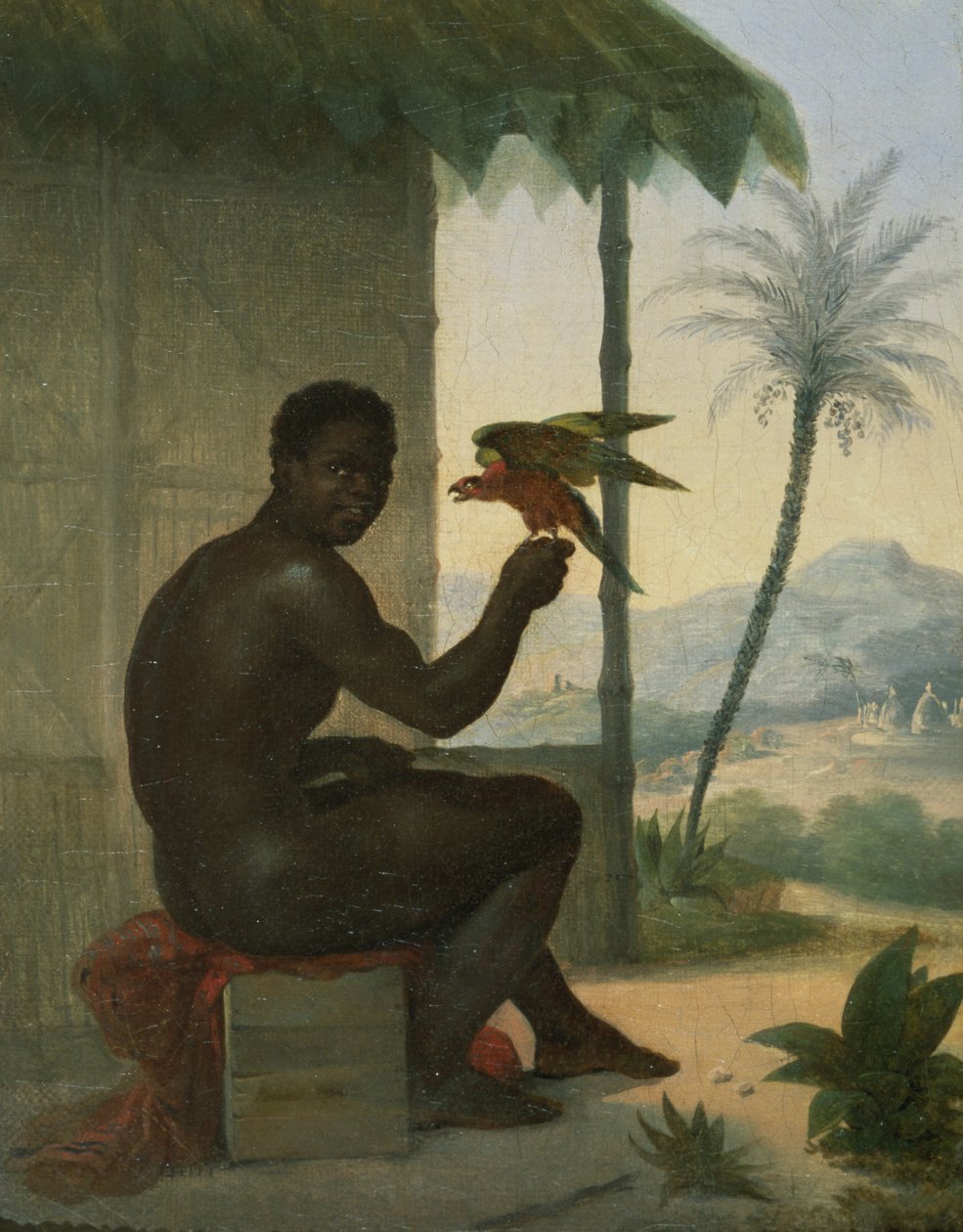 Brasilianmusta Tropical Birdin kanssa tekijältä Nicolas Antoine Taunay