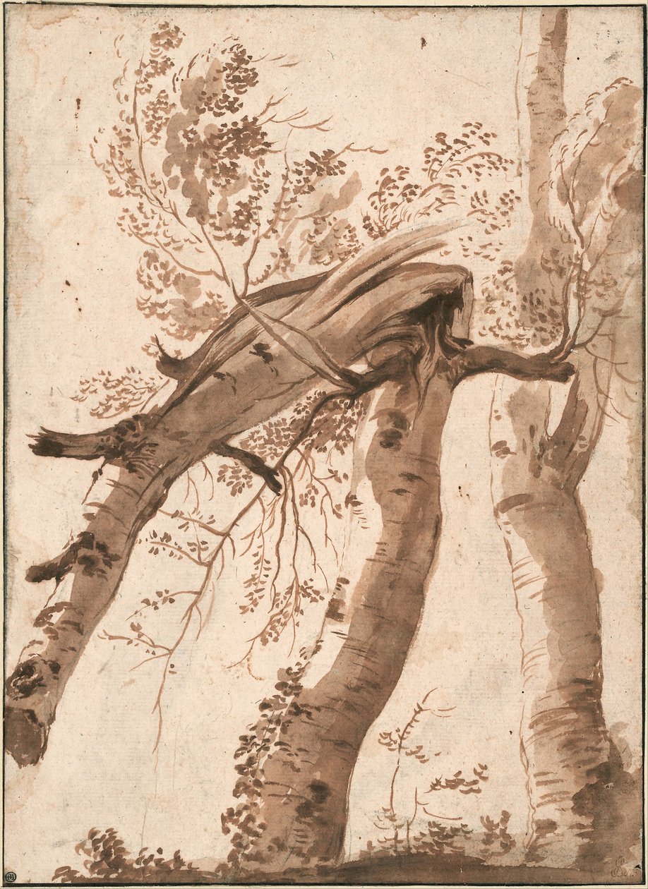 Kaksi hopeakoivua, edessä yksi kaatunut, n. 1629 tekijältä Nicolas Poussin