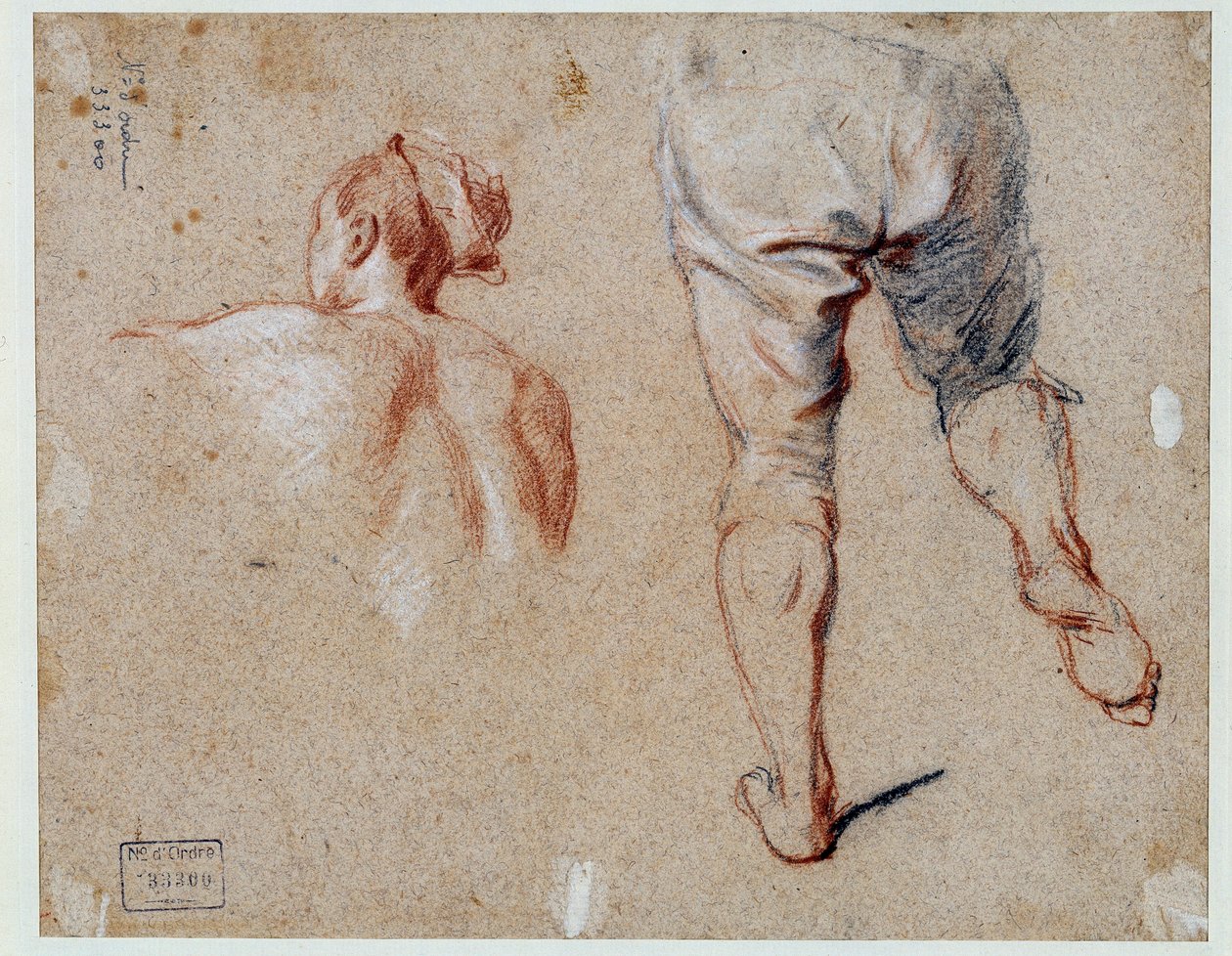 Anatomian tutkimus Nicolas Vleughelsin (1668-1737) öljypiirustus 1700-luvun Pariisi, Louvre-museo tekijältä Nicolas Vleughels