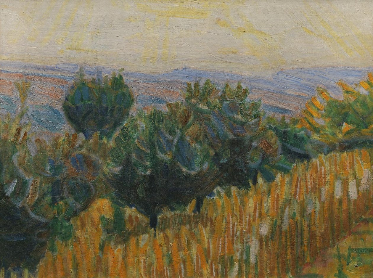 Viiniköynnös valoa vastaan. Vehnäpelto etualalla. Villa Linda, Firenze tekijältä Niels Larsen Stevns