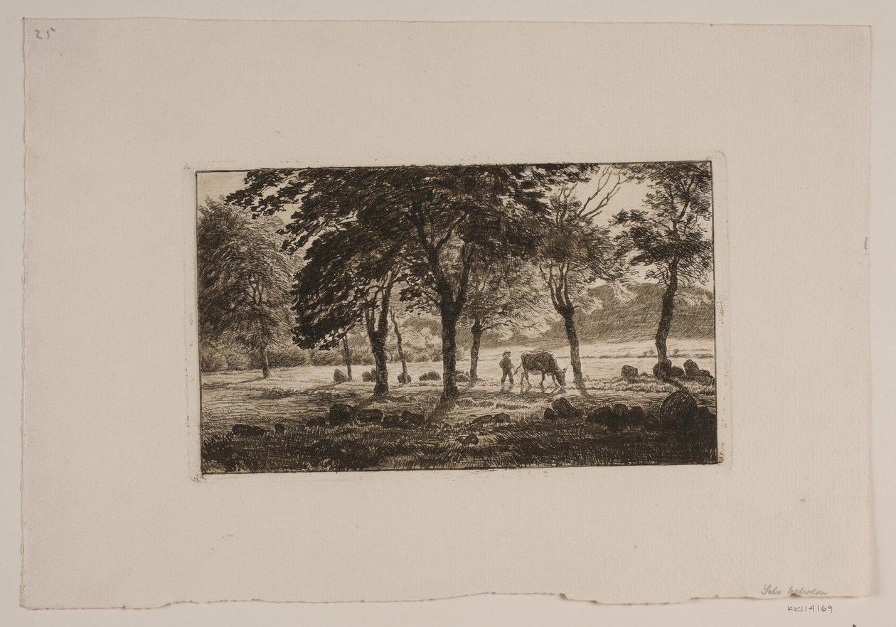 Avenue tekijältä Niels Skovgaard