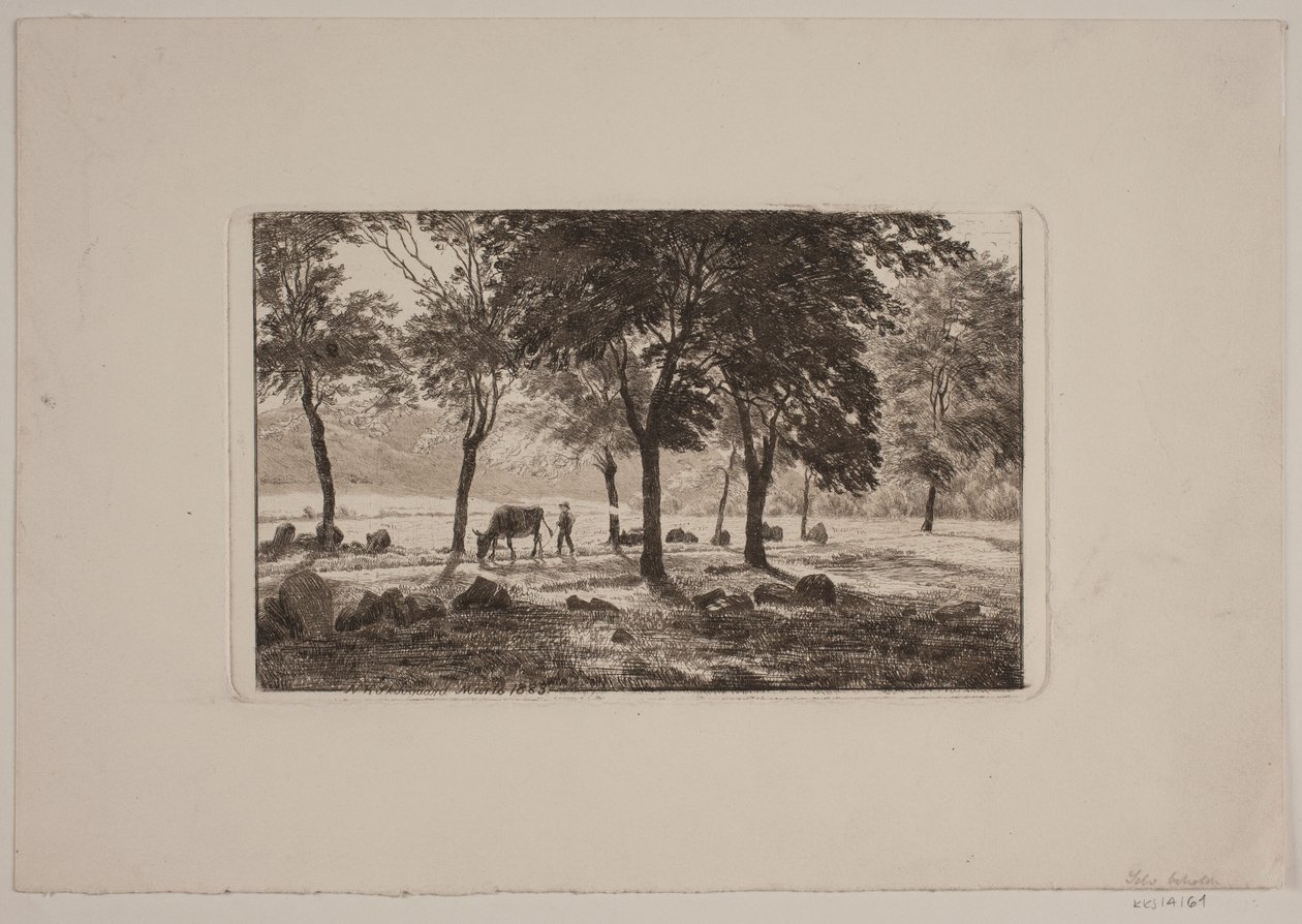 Avenue tekijältä Niels Skovgaard
