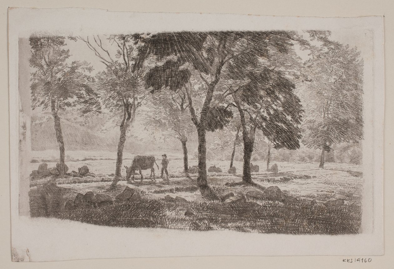 Avenue tekijältä Niels Skovgaard