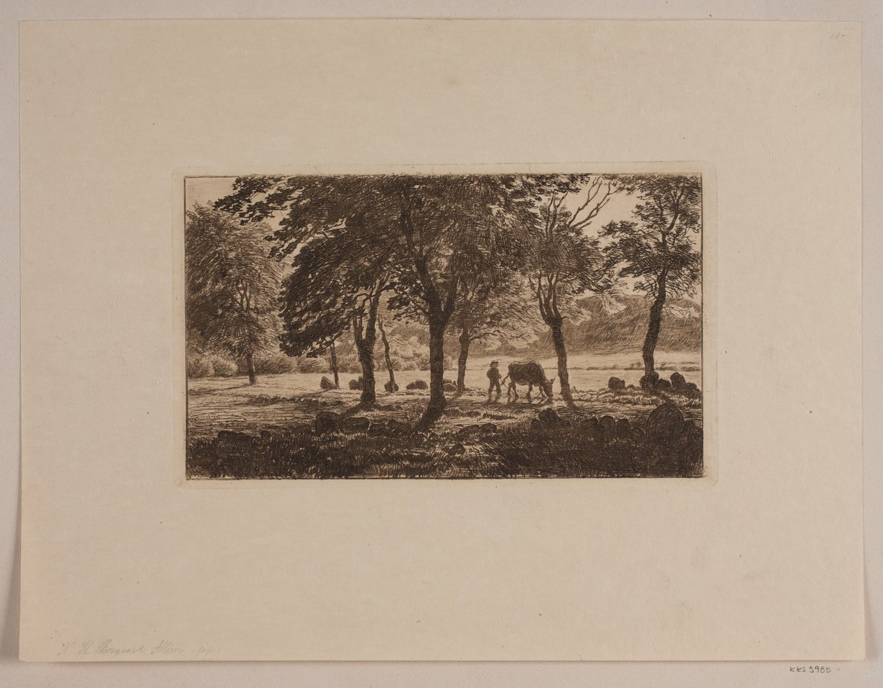 Avenue tekijältä Niels Skovgaard