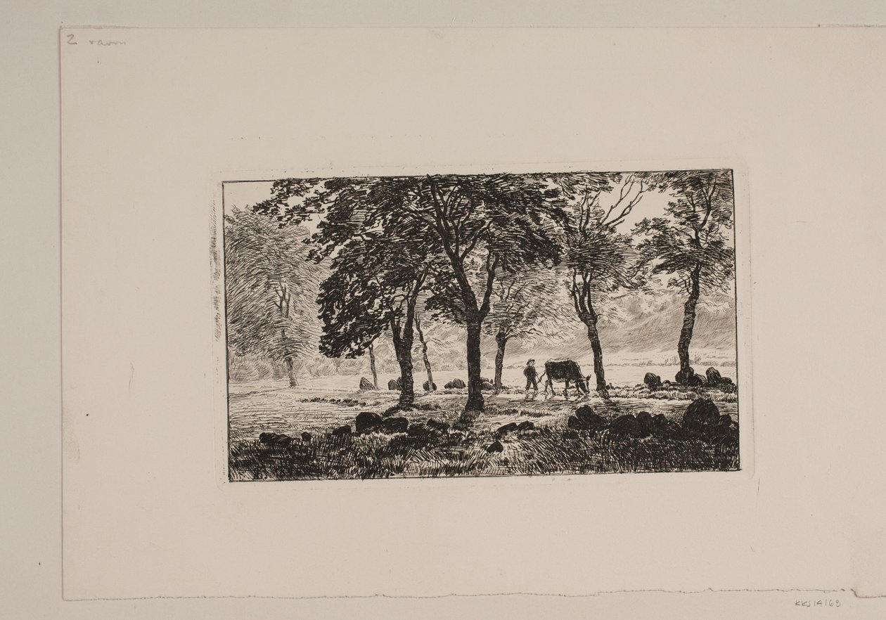 Avenue tekijältä Niels Skovgaard