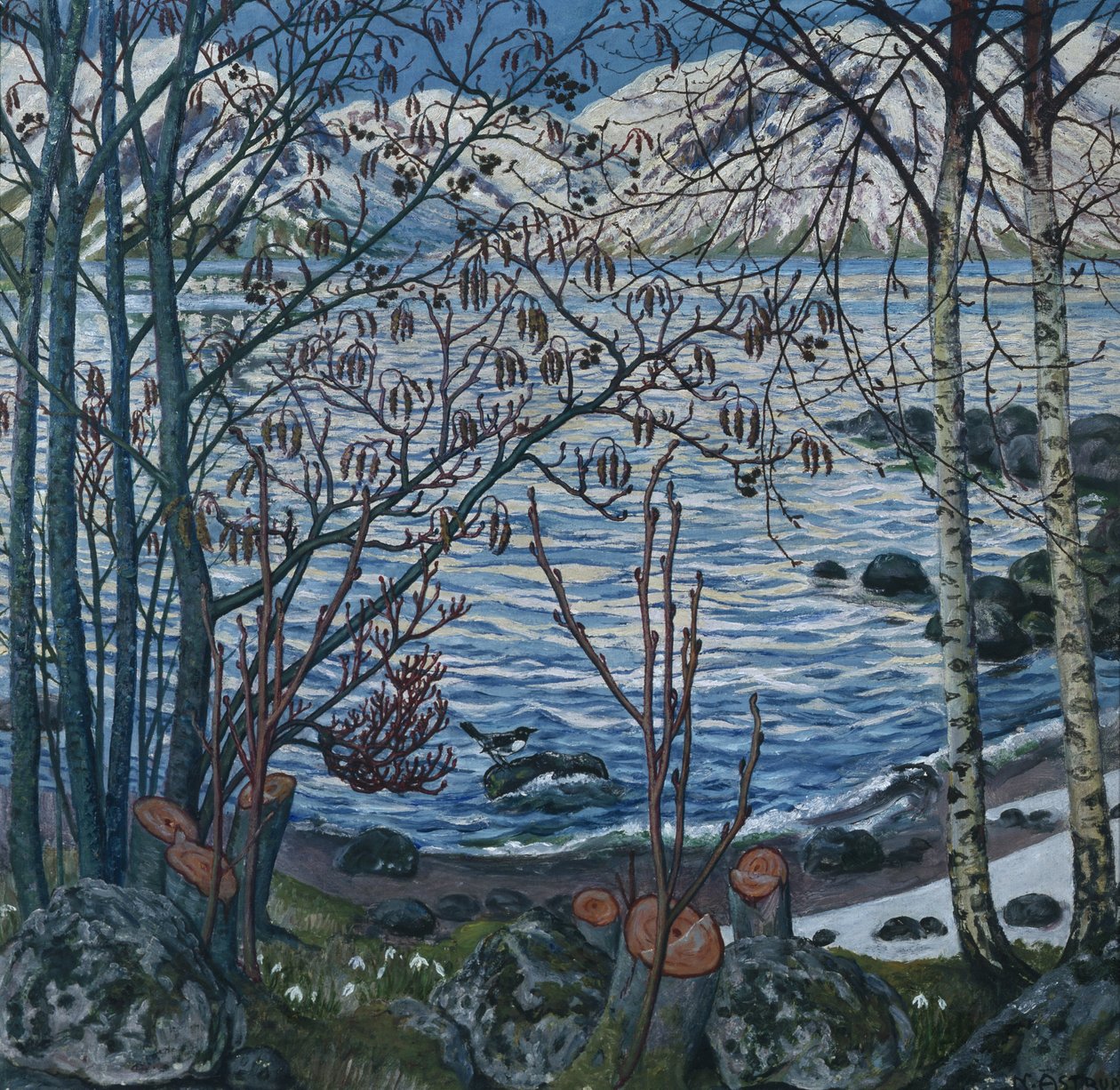  tekijältä Nikolai Astrup