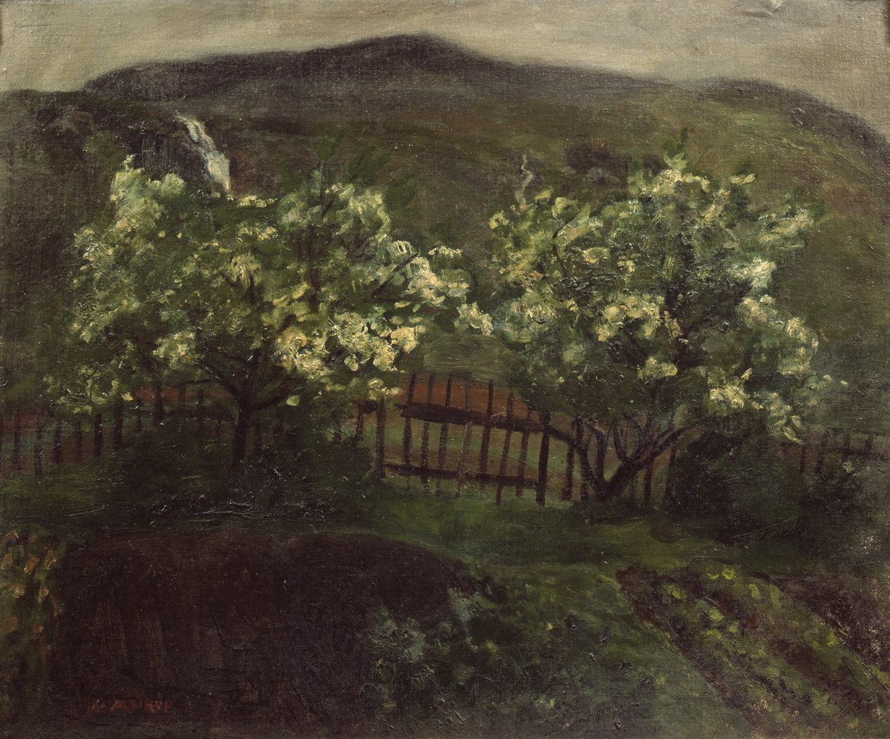 Kevätsadetta ja kirsikka tekijältä Nikolai Astrup