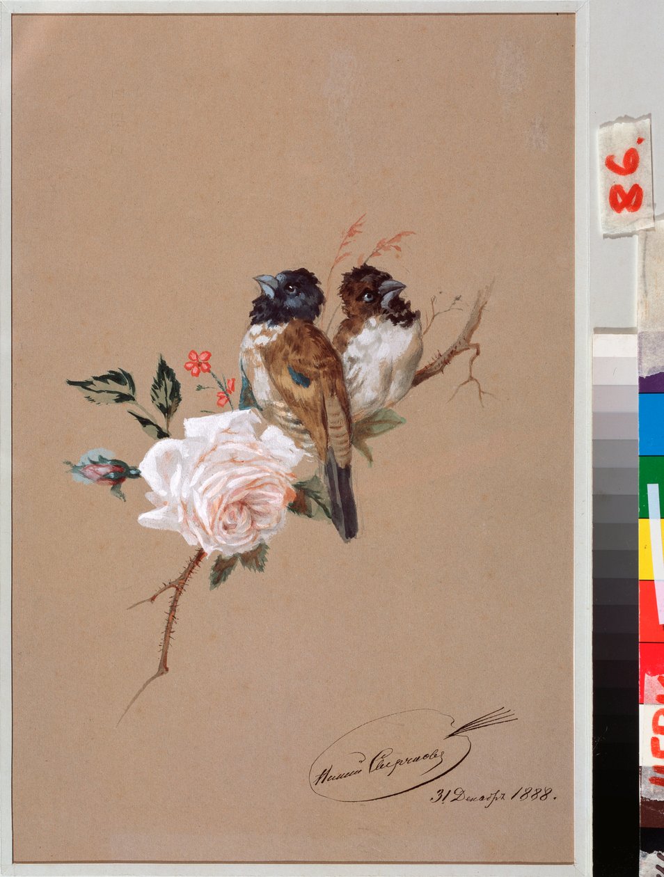 Kaksi lintua ruusulla - Nikolai Jegorovich Sverchkov (Nicolas Swertschkoff) (1817-1898) teos, akvarelli ja tussi paperille tekijältä Nikolai Egorevich Sverchkov
