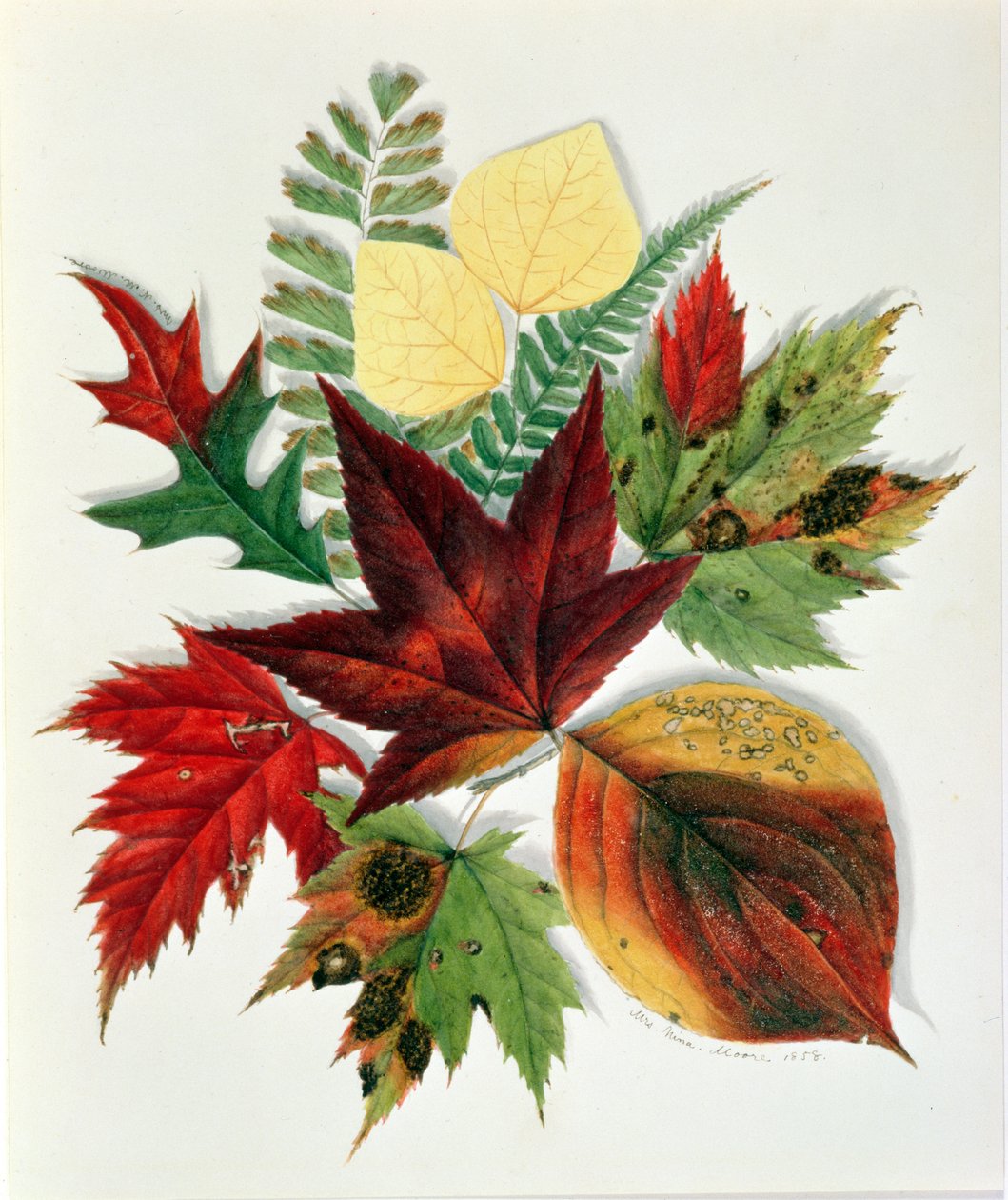 Syksyn lehdet, 1858 (wc paperilla) tekijältä Nina Moore