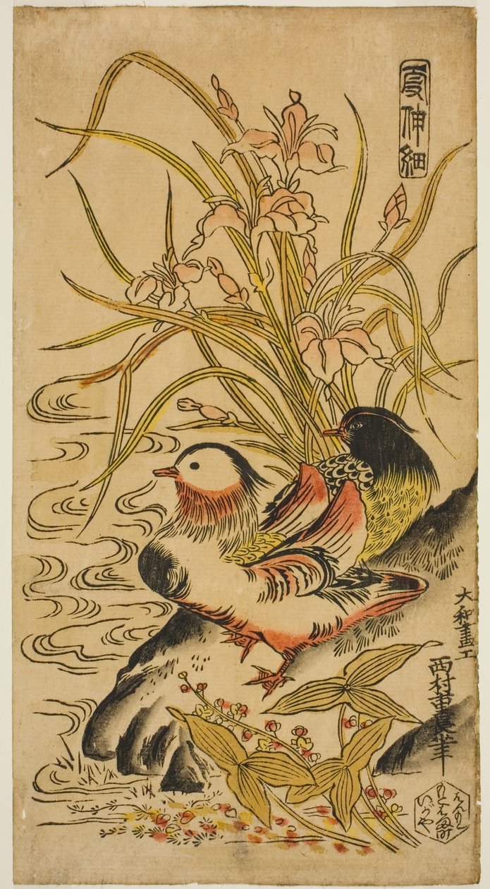 Mandarin Ducks, sarjasta "Kashinsai" tekijältä Nishimura Shigenaga