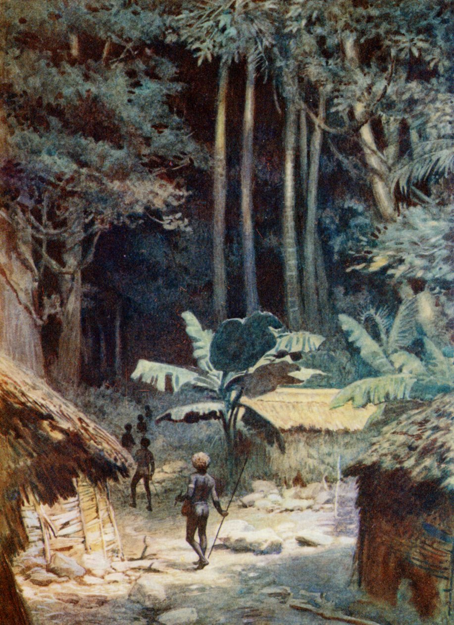 Melanesian metsän syvyydessä, 1908 tekijältä Norman Hardy
