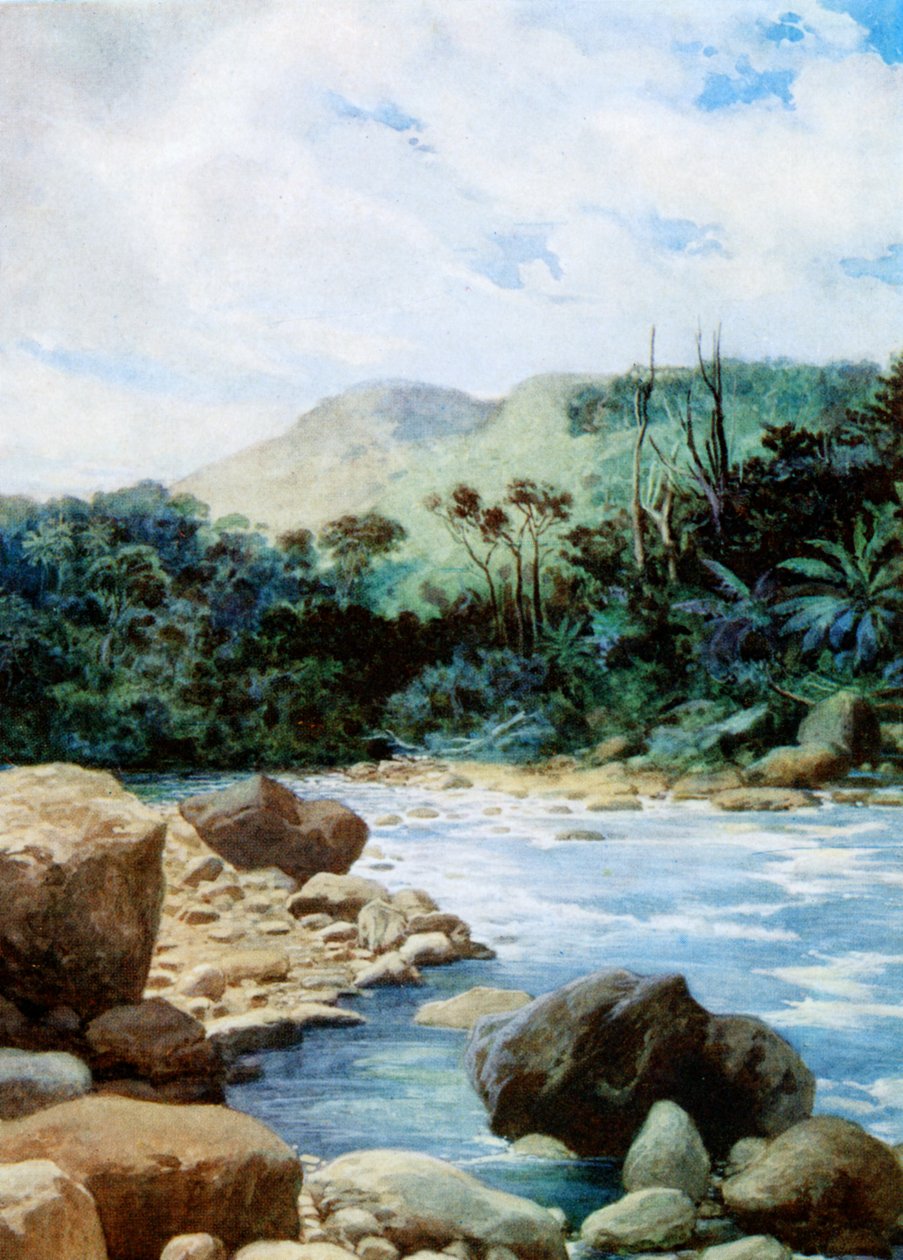 Maisema Eromangassa, Uusilla Hebrideillä, 1908 tekijältä Norman Hardy