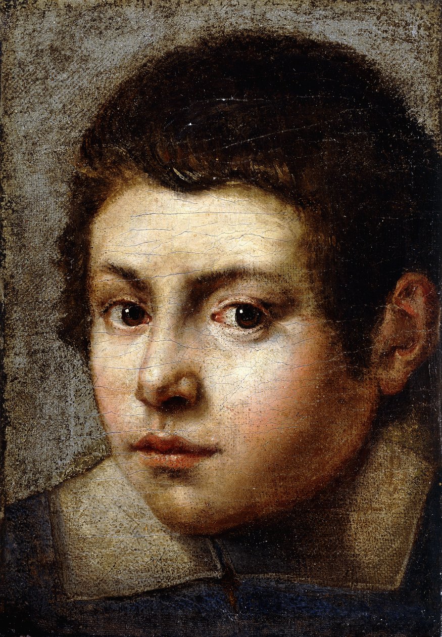 Pojan pää tekijältä Northern Italian School
