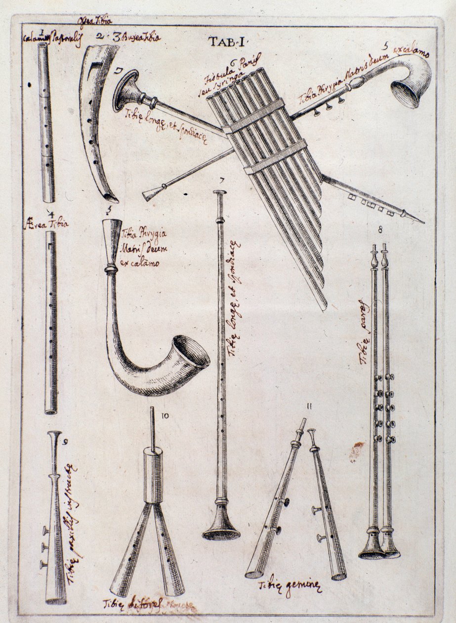Puhallinsoittimet -sivu "The Three Types of Musical Instruments" -soittimista käsittelevä Francesco Bianchini kertoo vanhoista soittimista tekijältä Northern Italian School