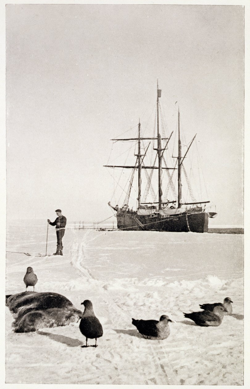 "Fram" Whalesinlahdella, elokuvasta "Etelänapa": Kertomus norjalaisesta Etelämanner-retkikunnasta 