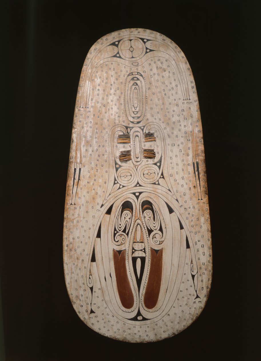 Shield, Trobriand Islands, (maalattu puu) tekijältä Oceanic