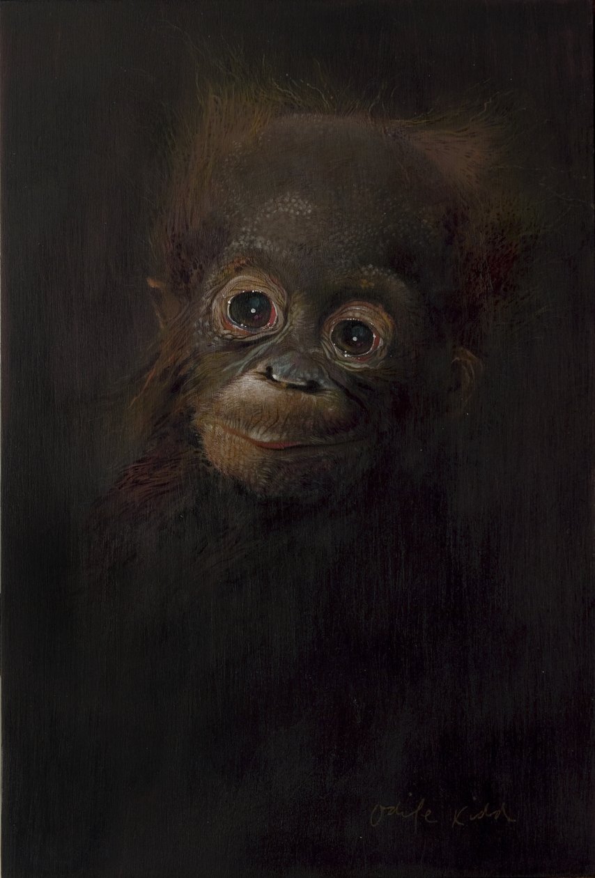 Oranki-vauva 1, 2009 (akryyli puulle) tekijältä Odile Kidd