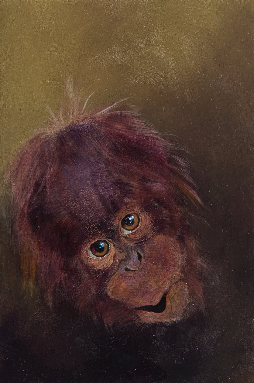 Oranki-vauva 2, 2010 (akryyli puulle) tekijältä Odile Kidd