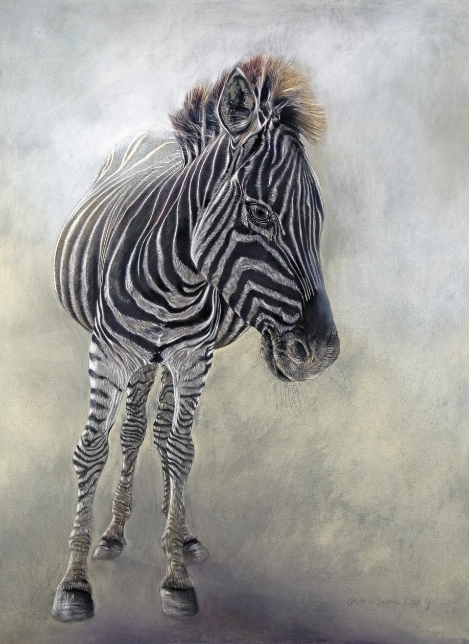 Equus burchelli 1, 2009 (hiili, konteeri ja liitupastelli Bockingfordin paperille) tekijältä Odile Kidd