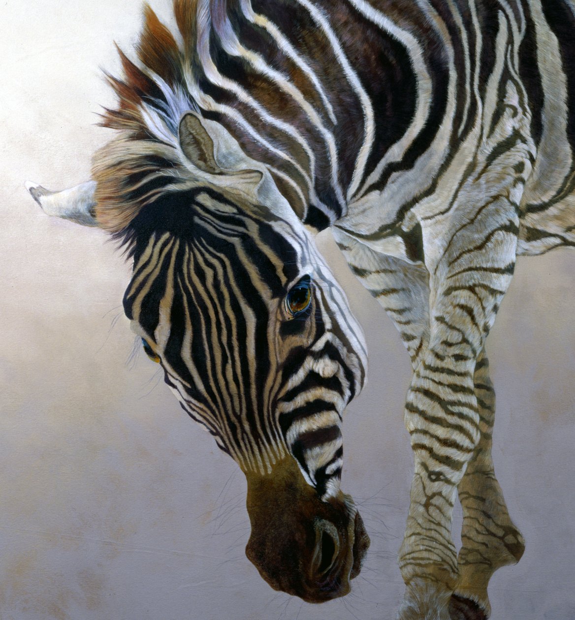 Equus burchelli 2 (yksityiskohta), 2010 (akryyli kankaalle) tekijältä Odile Kidd