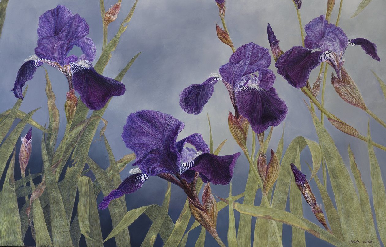 Iris hybrida (detalji), 2015 (akryyli gessoiduille puupinnoille) tekijältä Odile Kidd