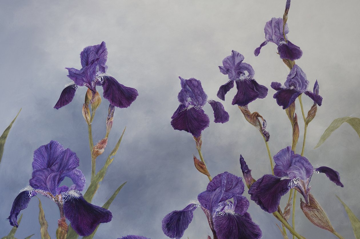 Iris hybrida (detalji), 2015 (akryyli gessoiduille puupinnoille) tekijältä Odile Kidd