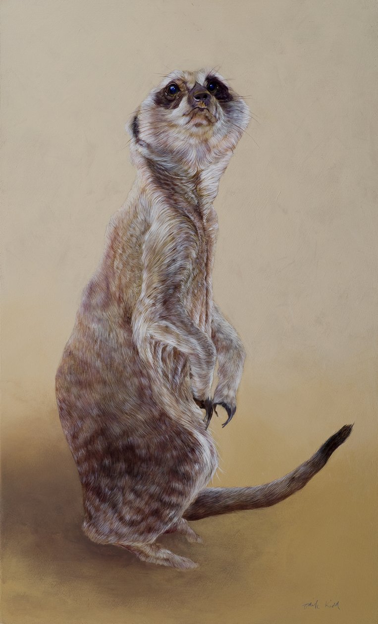 Meerkat 2, 2010 (akryyli puulle) tekijältä Odile Kidd