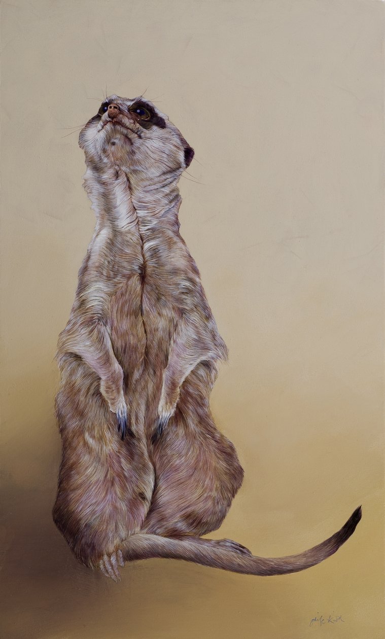 Meerkat 3, 2010 (akryyli puulle) tekijältä Odile Kidd