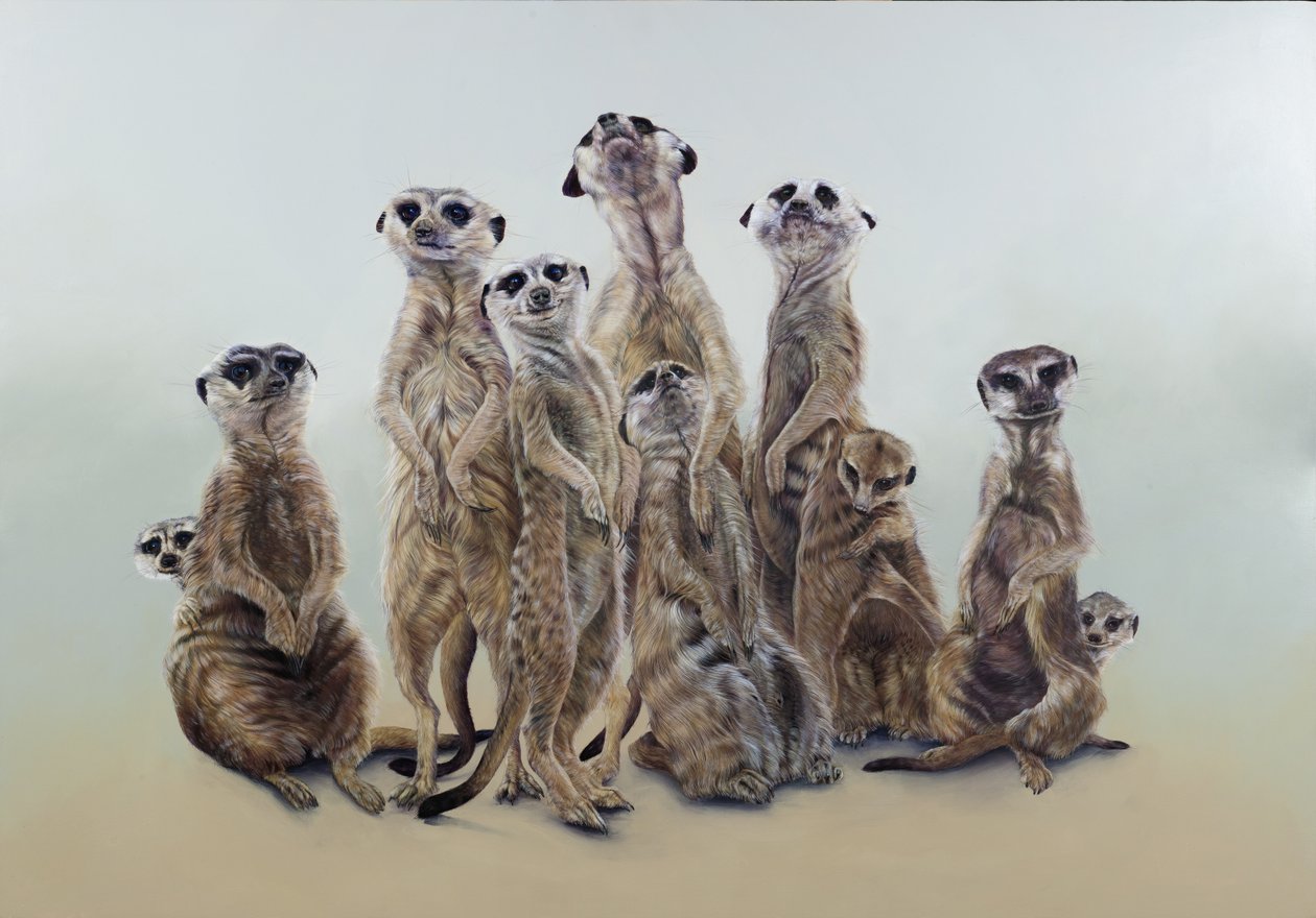 Meerkat mob, aurinkoenkelit, 2013 (akryyli gessoiduille puupinnoille) tekijältä Odile Kidd