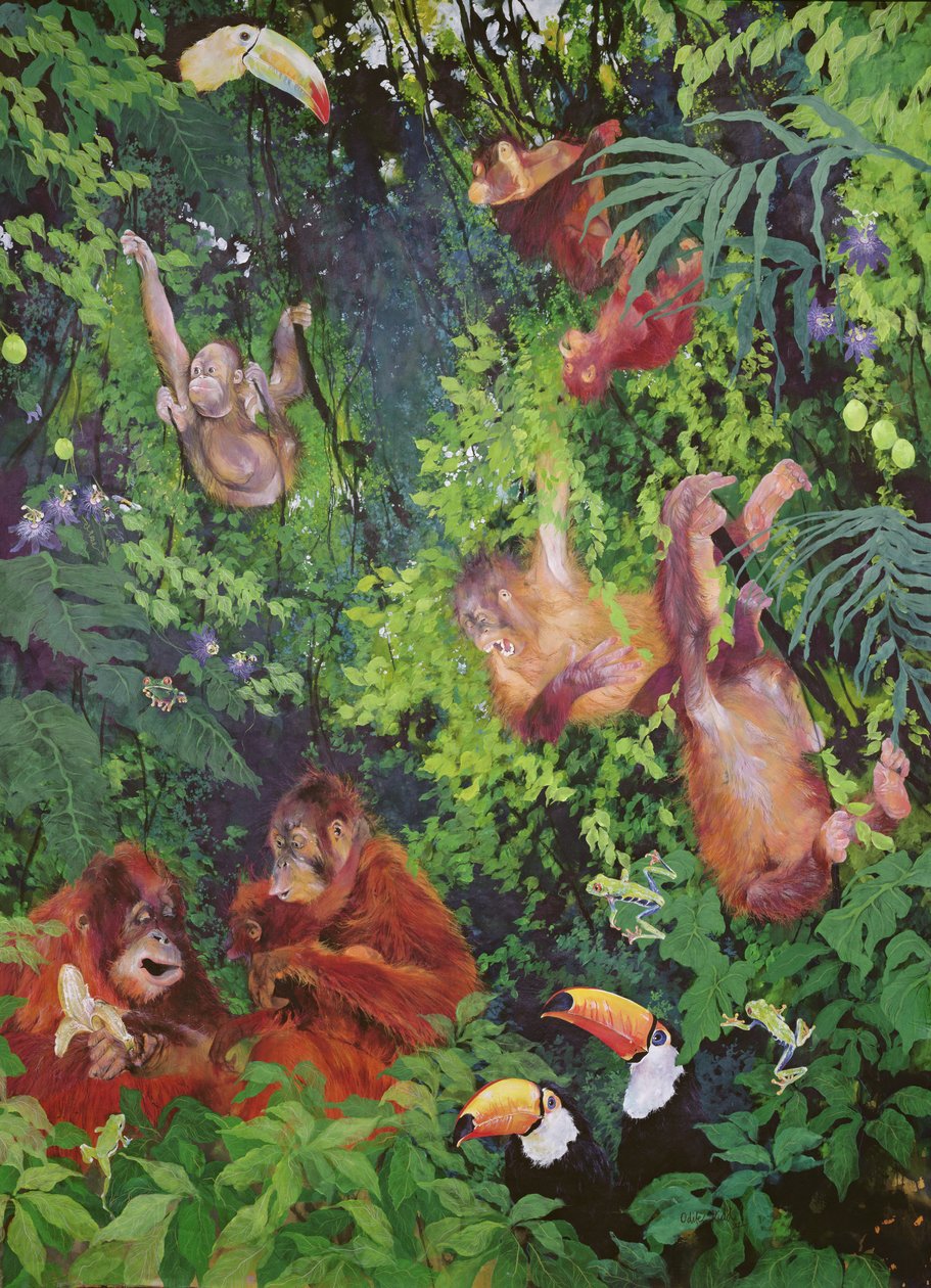 Oranguanit ja tukaanit tekijältä Odile Kidd