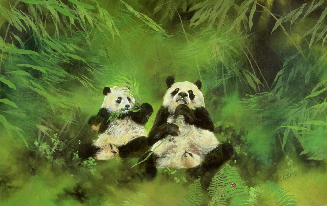 Pandat tekijältä Odile Kidd