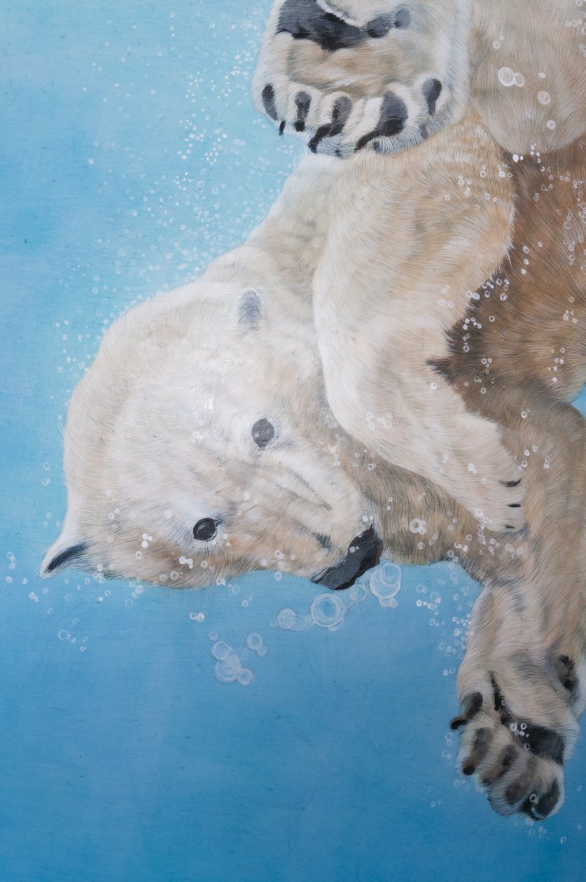 Jääkarhubaletti, yksityiskohta, 2012 (akryyli lasikuitumunalle) tekijältä Odile Kidd