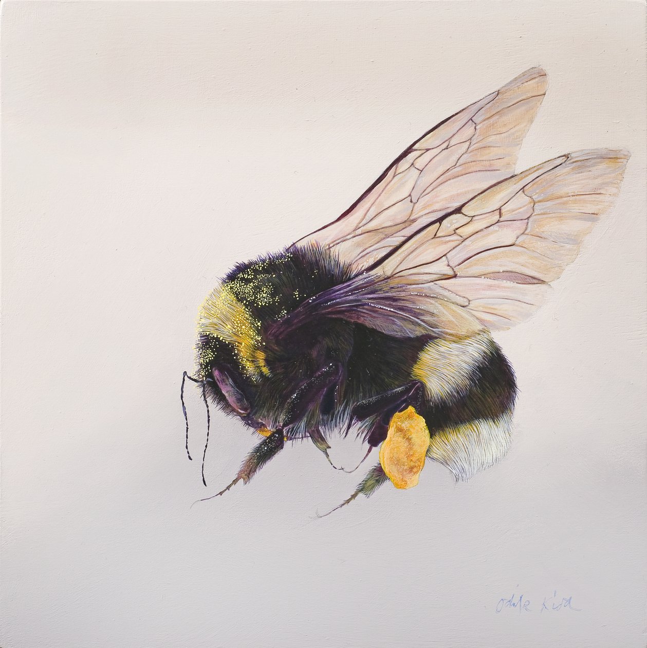 Pollen sac 2, 2011 (akryyli puulle) tekijältä Odile Kidd