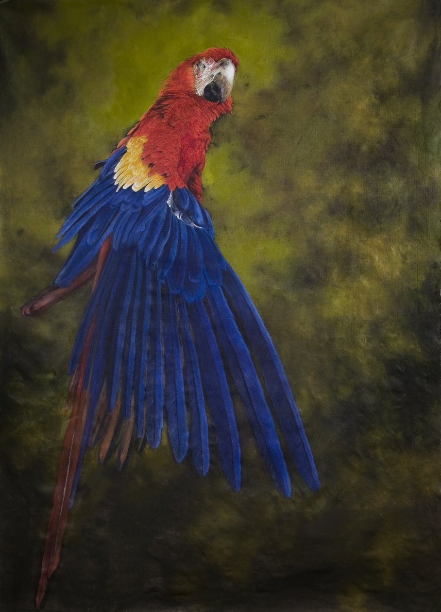 Tulipuna-arva 2, 2009 (akryyli pellavalle) tekijältä Odile Kidd