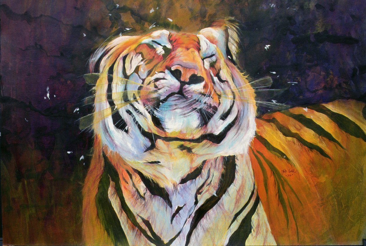 Tiger (Shaking Head) 1996 (tussi, akryyli ja lyijykynä paperille) tekijältä Odile Kidd