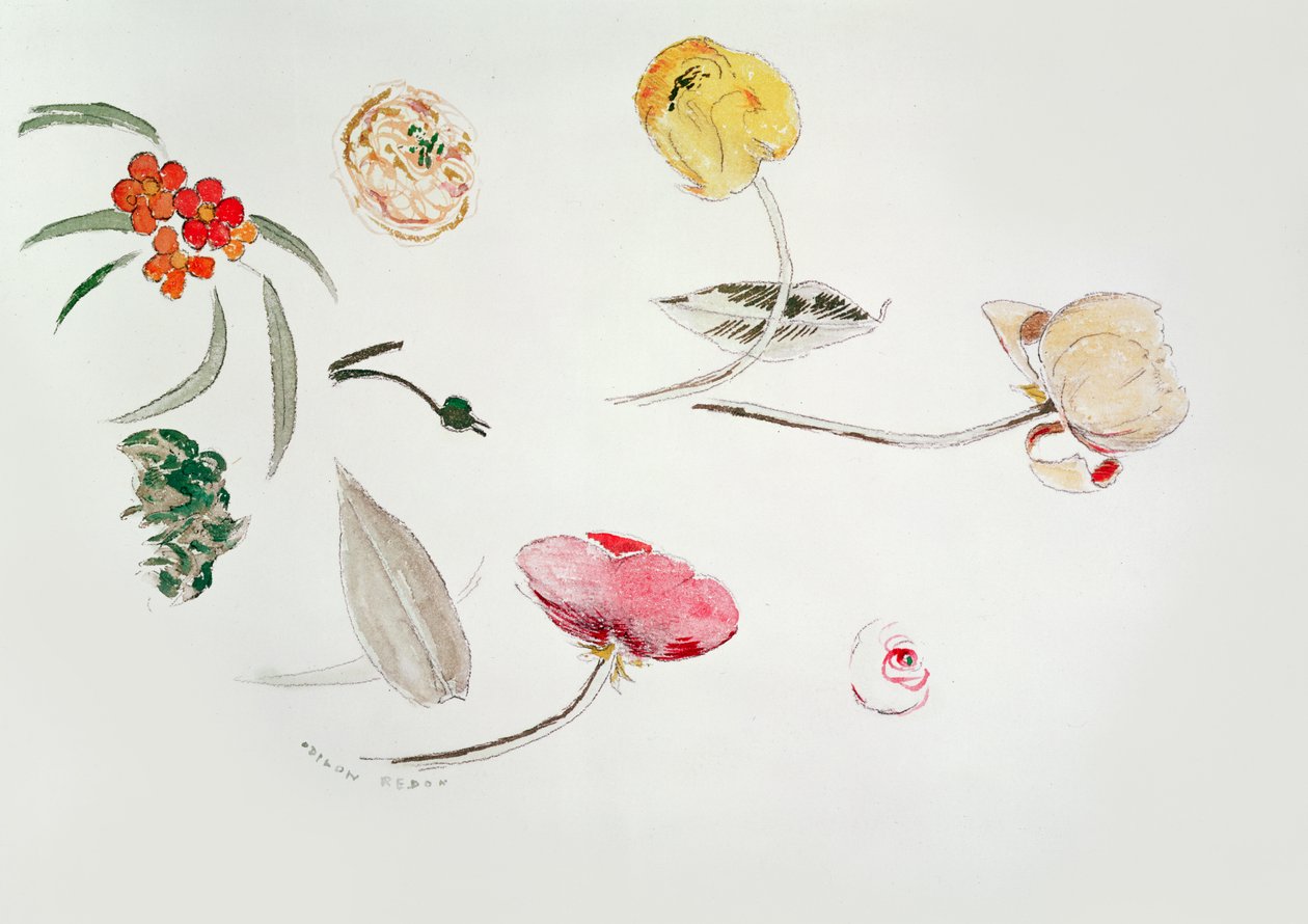 Kukkatutkimus tekijältä Odilon Redon
