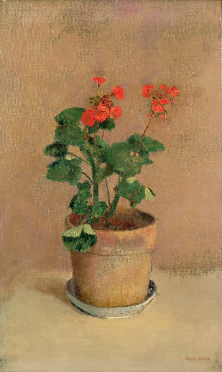 Geraniums ruukussa, noin 1905 tekijältä Odilon Redon