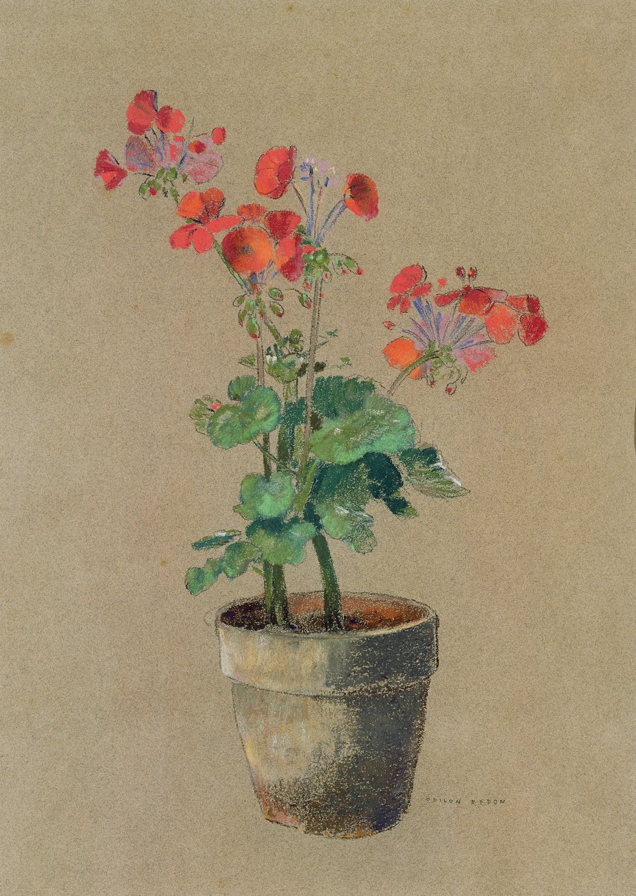 Geraniums ruukussa (pastelli) tekijältä Odilon Redon