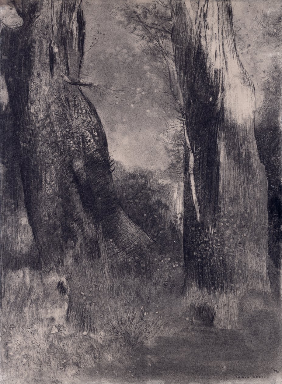 Puut, 1890-luku (hiili paperilla) tekijältä Odilon Redon